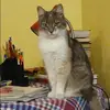 Отзыв от Клара Гладкова